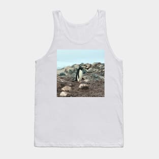 Adelie penguin in Antarctica Tank Top